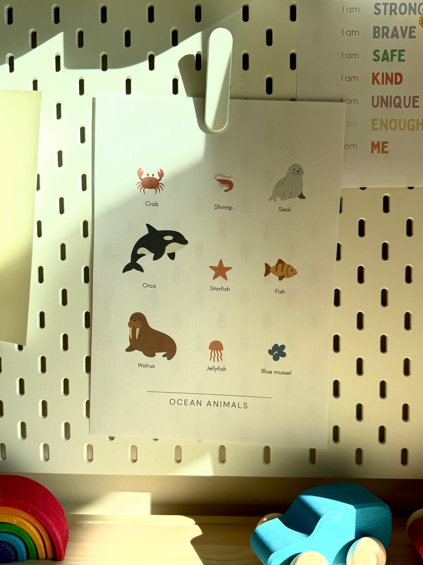 Ocean Animals – PDF