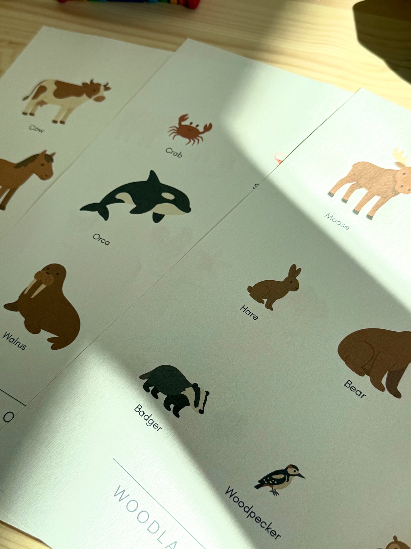 Farm Animals – PDF