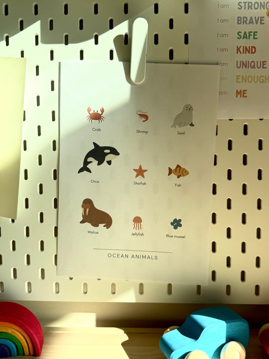 Ocean Animals – PDF